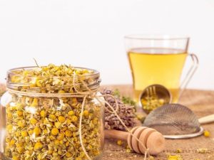 Effect of chamomile tea on kidneys