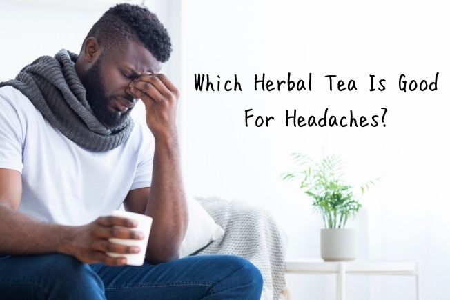 UNCATEGORIZED Which Herbal Tea Is Good For Headaches?