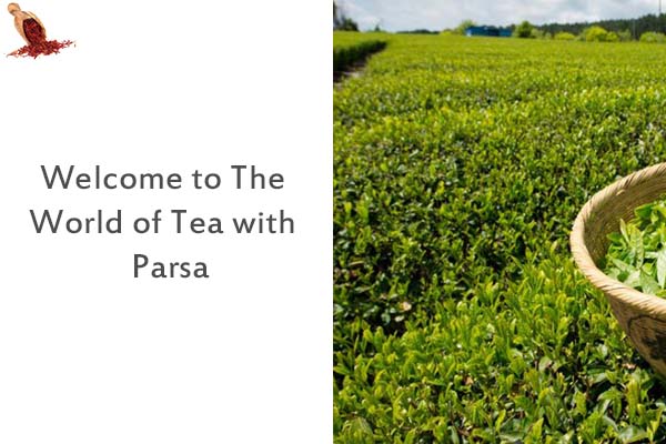 Welcome to The World of Tea with Parsa
