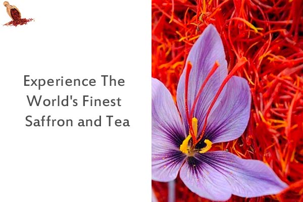 Experience The World's Finest Saffron and Tea